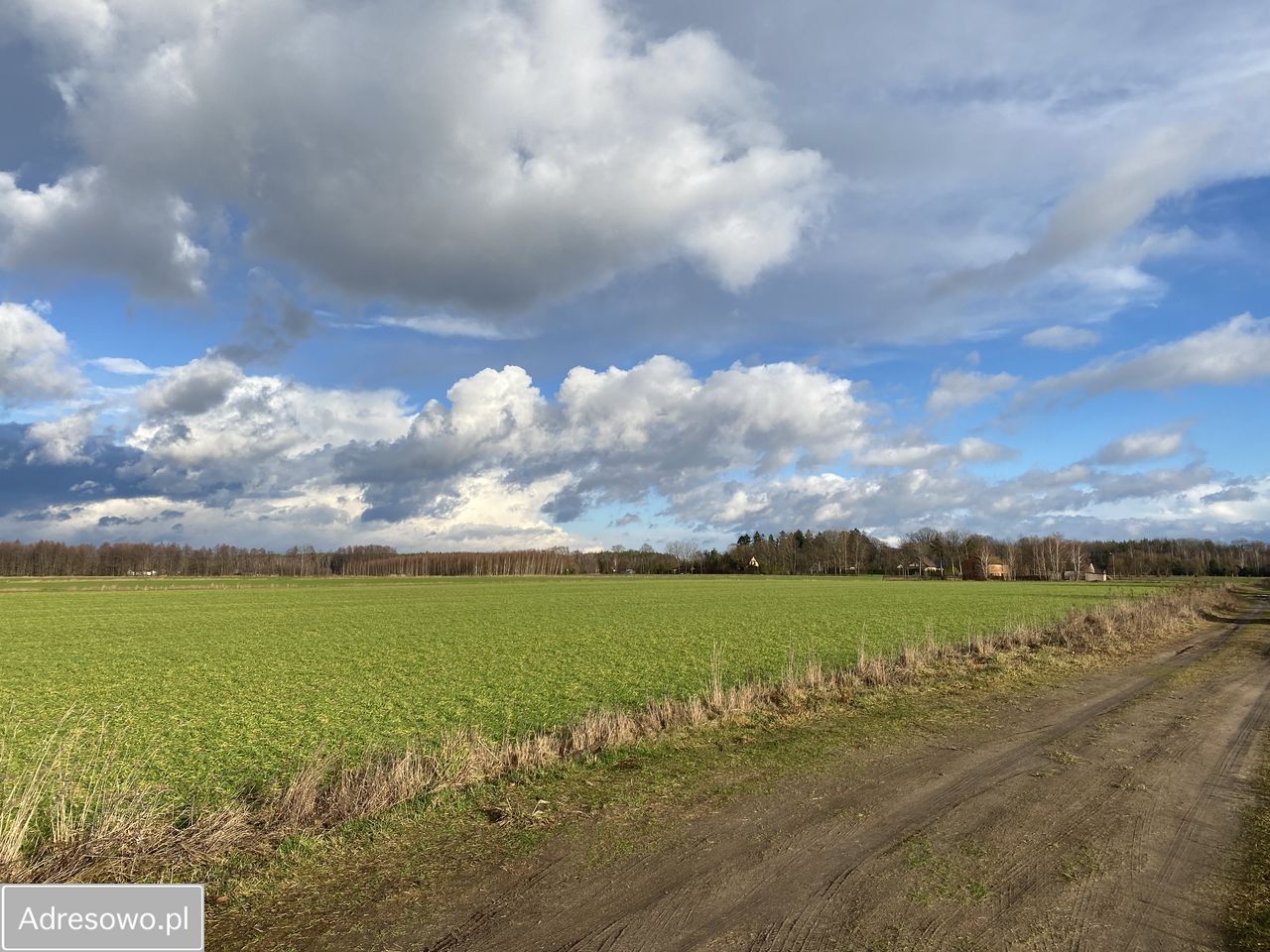 Działka budowlana Modzele-Bartłomieje. Zdjęcie 7