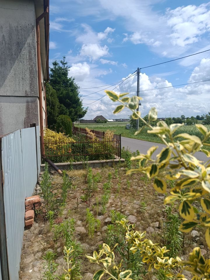 dom wolnostojący, 5 pokoi Walerianów. Zdjęcie 34