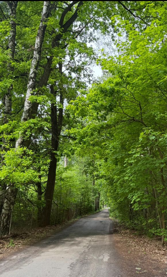 Działka budowlana Janinów, ul. Kolumbijska. Zdjęcie 4