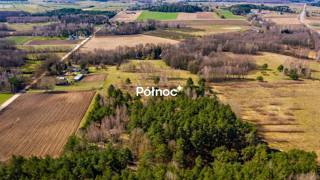 Działka rolna Rogowo. Zdjęcie 3