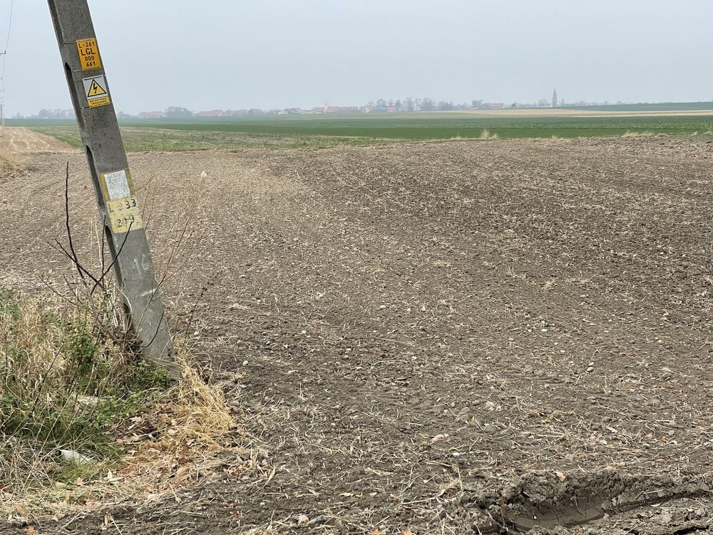 Działka budowlana Budziszów Wielki. Zdjęcie 2