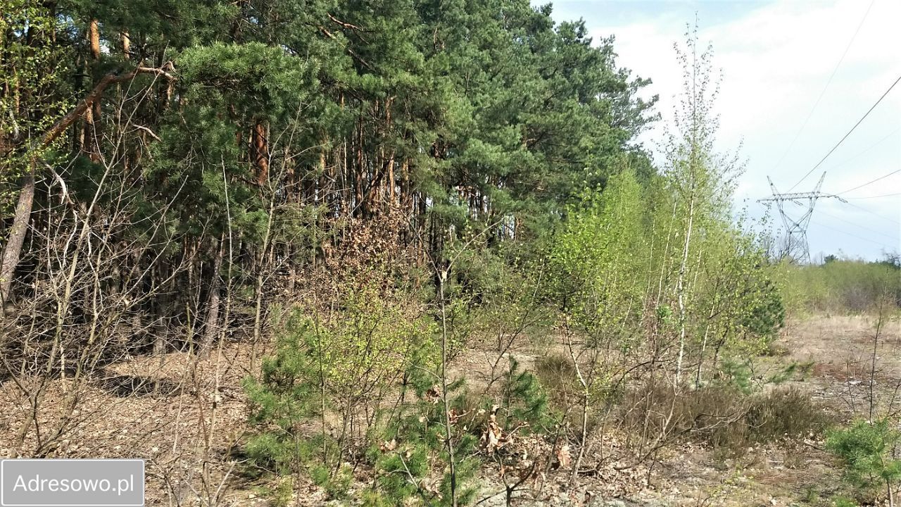 Działka budowlana Sulejówek Ratajewo. Zdjęcie 5