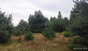 Działka budowlana Grabina