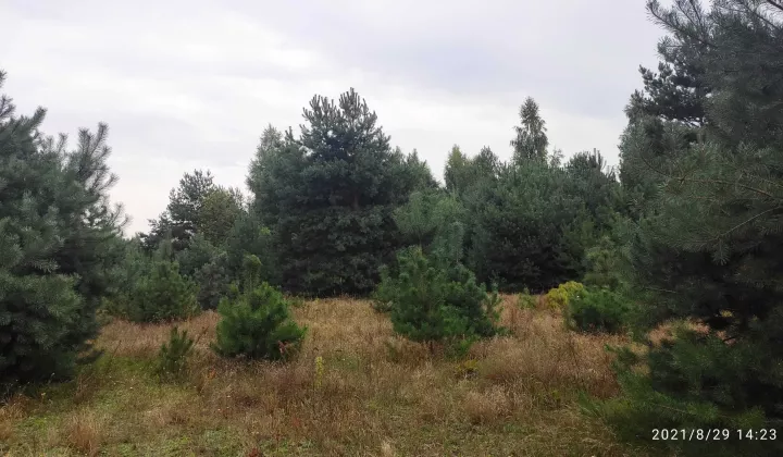 Działka budowlana Grabina