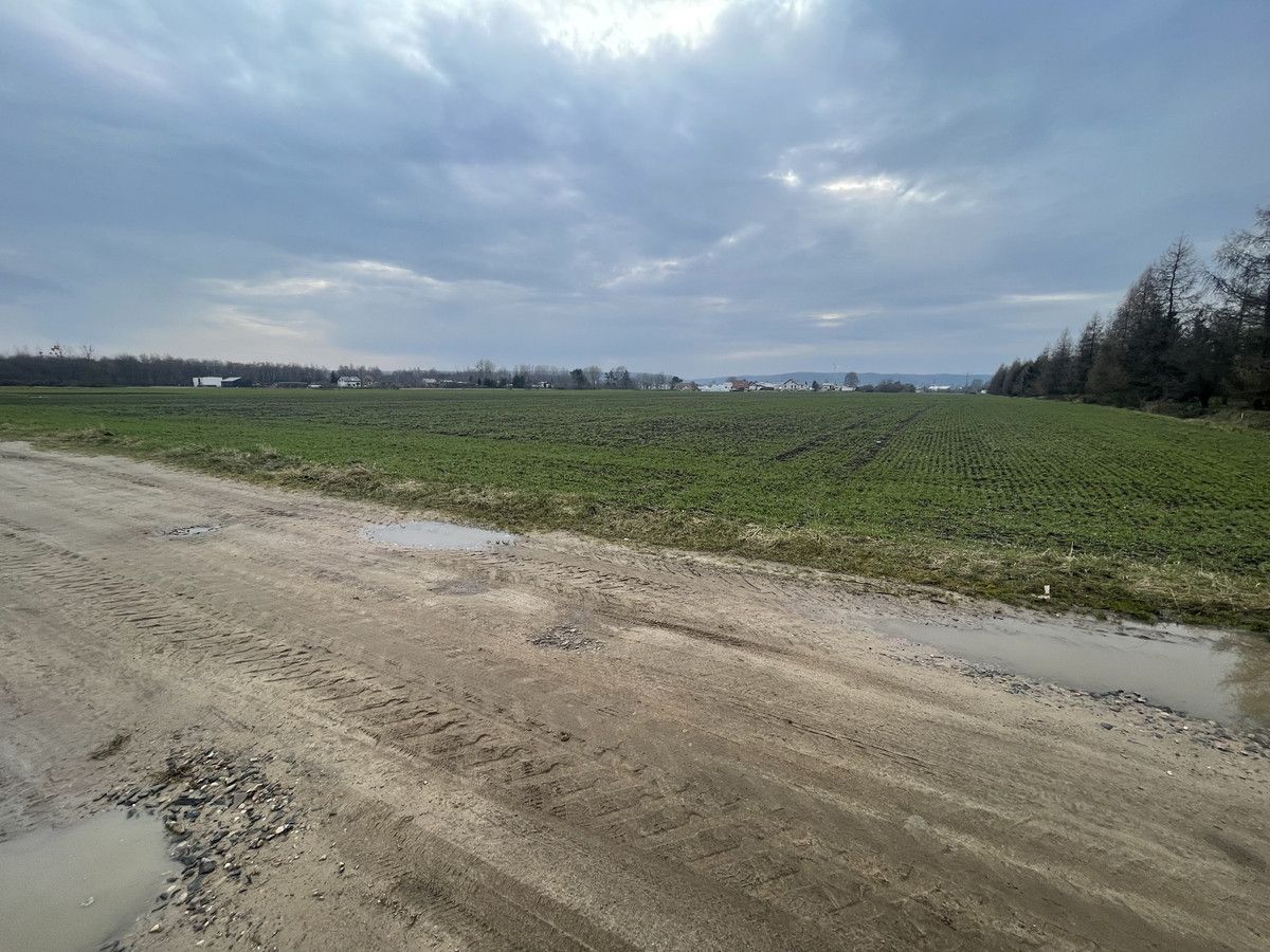 Działka inwestycyjna Dębogórze, ul. Leśna. Zdjęcie 2