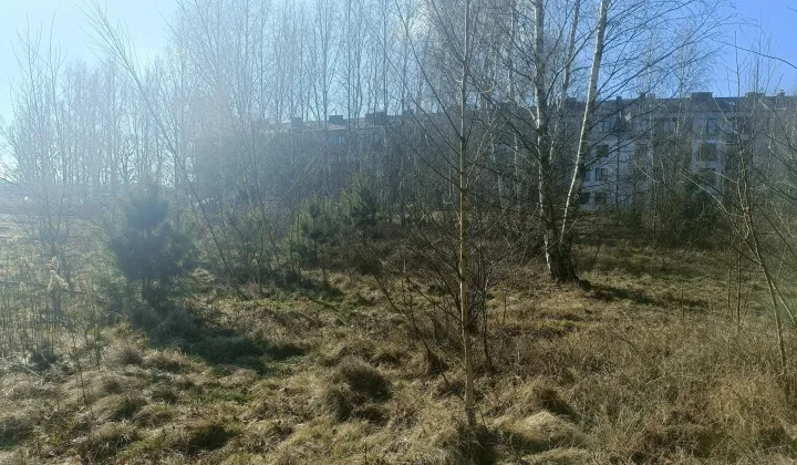 Działka budowlana Wrocław Ratyń, ul. Trzmielowicka