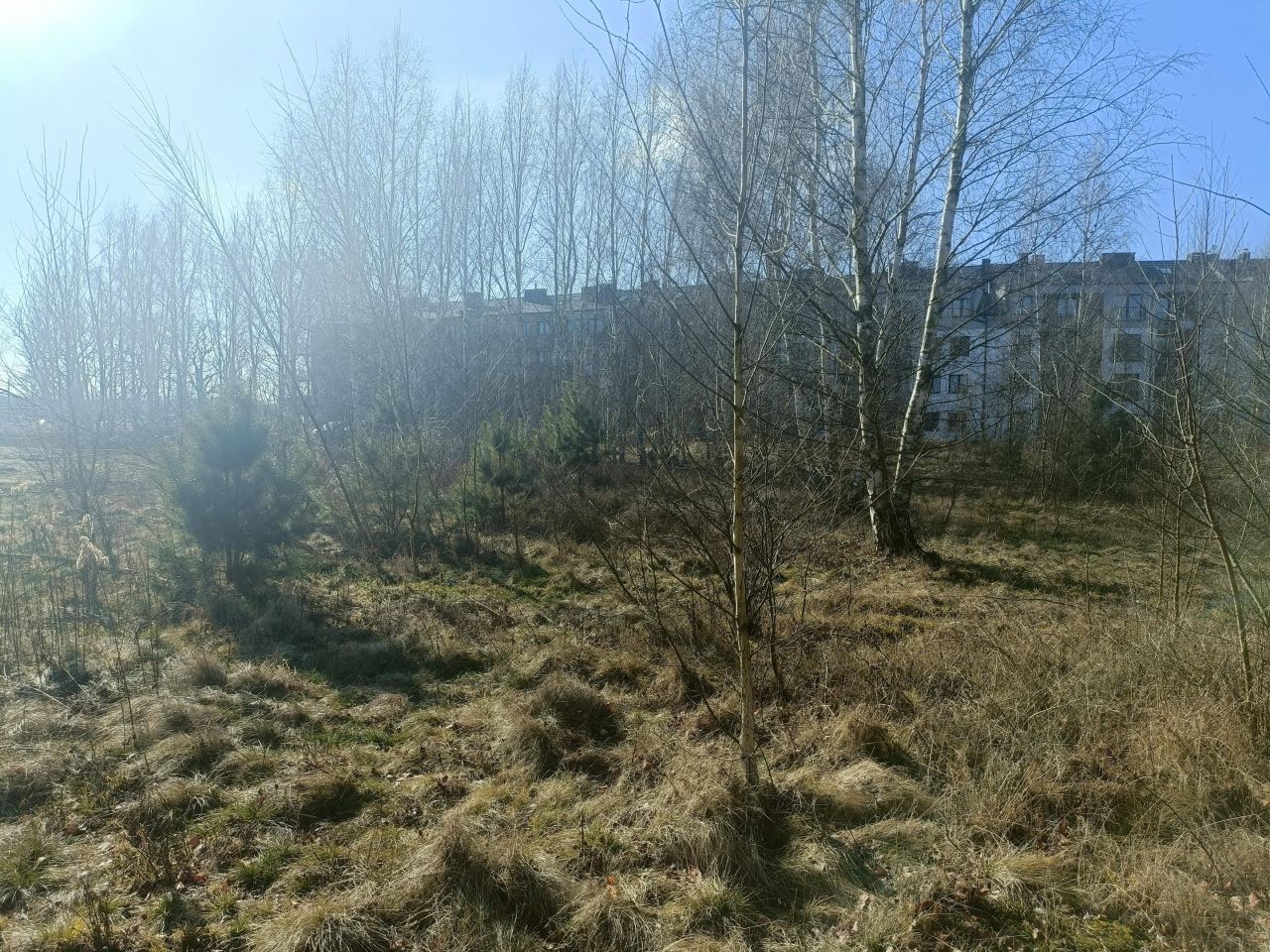 Działka budowlana Wrocław Ratyń, ul. Trzmielowicka