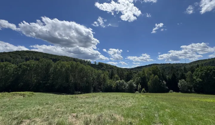 Działka budowlana Paleśnica