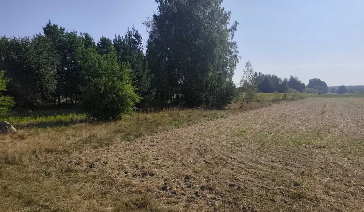 Działka rolna Chosna