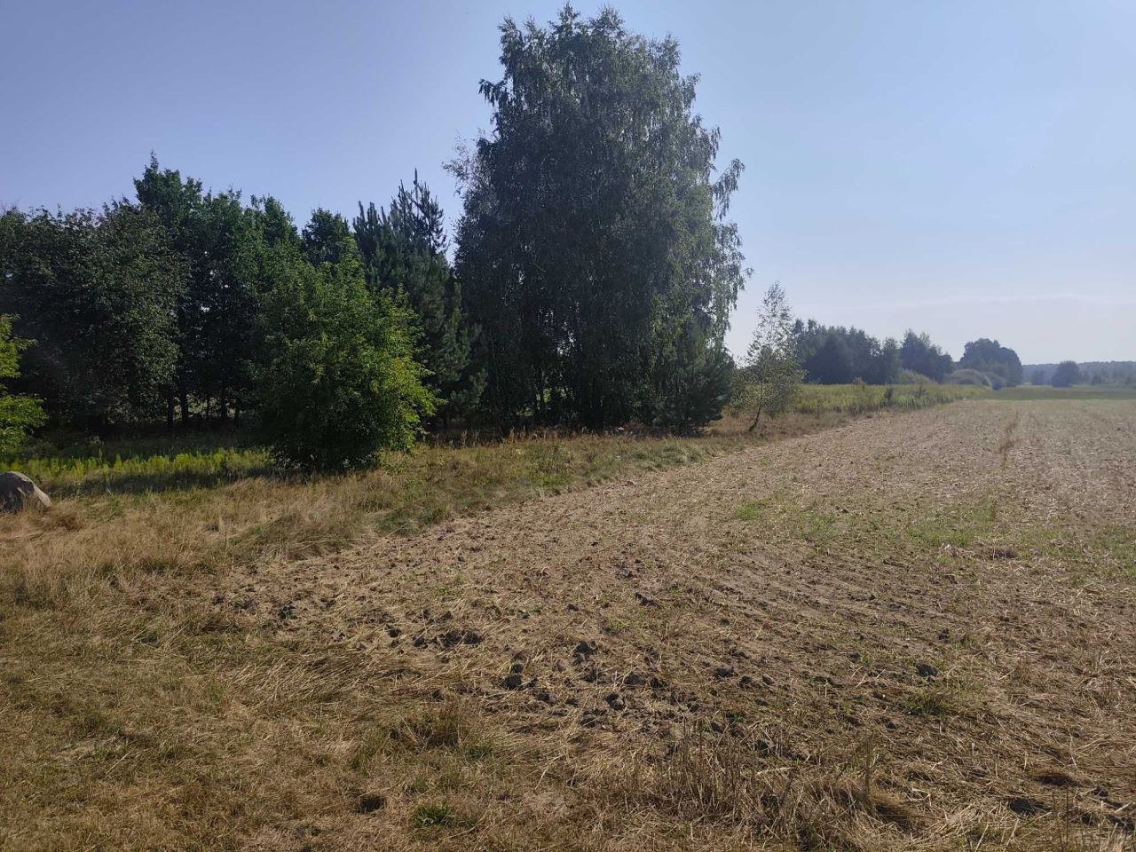 Działka rolna Chosna