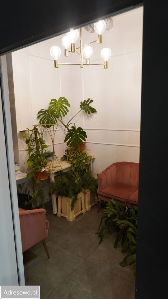 Lokal Toruń Koniuchy, ul. Żwirki i Wigury. Zdjęcie 7