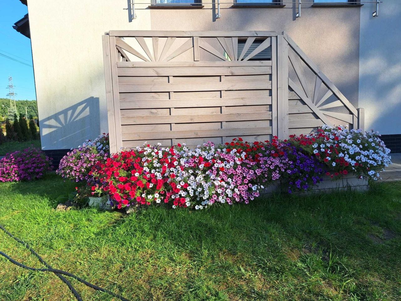 dom wolnostojący Mikołów Paniowy. Zdjęcie 7