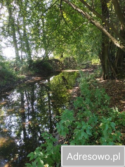 Działka budowlana Kąty. Zdjęcie 6