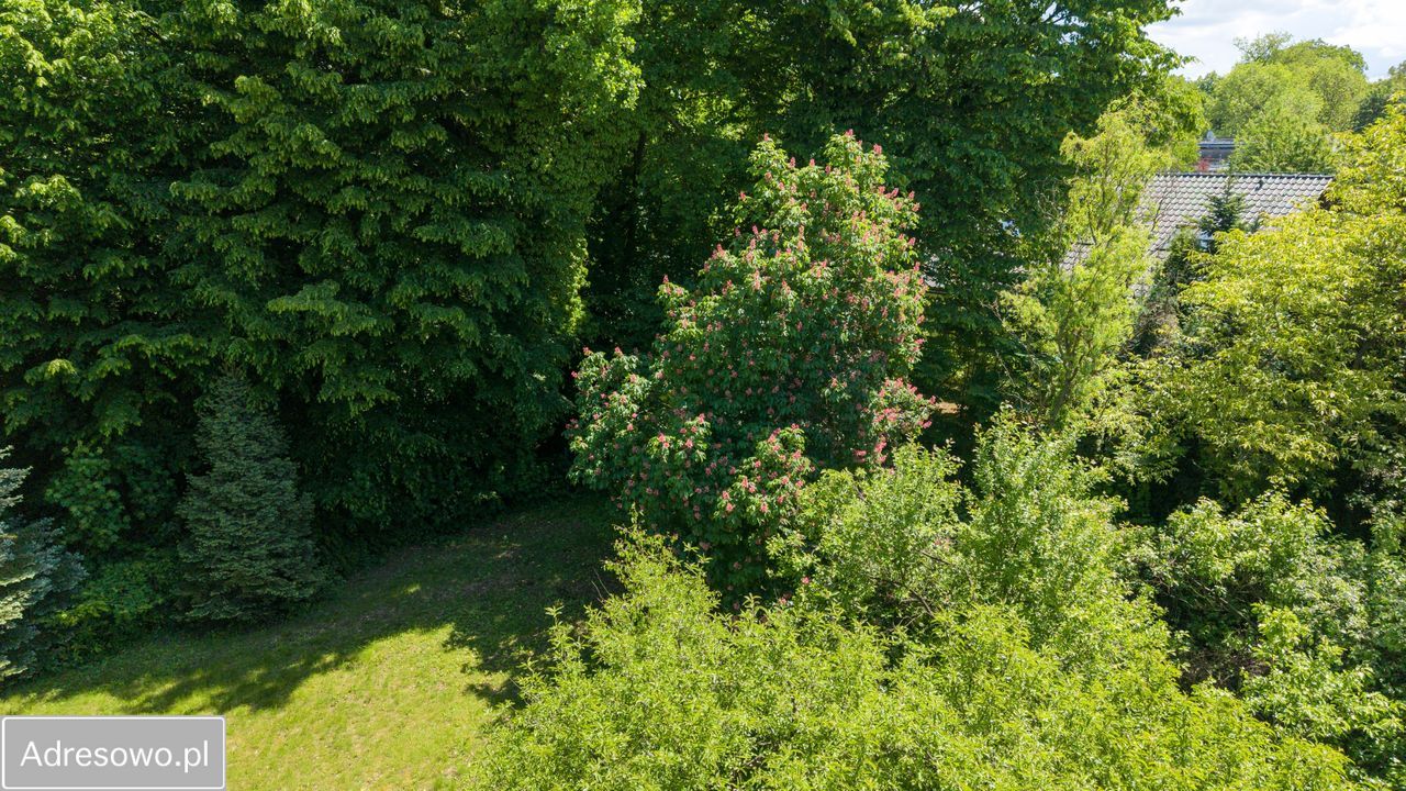 Działka budowlana Jastrzębie-Zdrój, ul. Dębowa. Zdjęcie 3