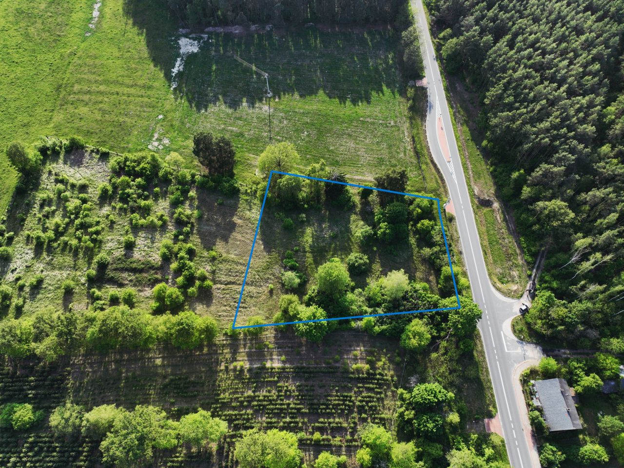 Działka budowlana Siedlisko. Zdjęcie 2