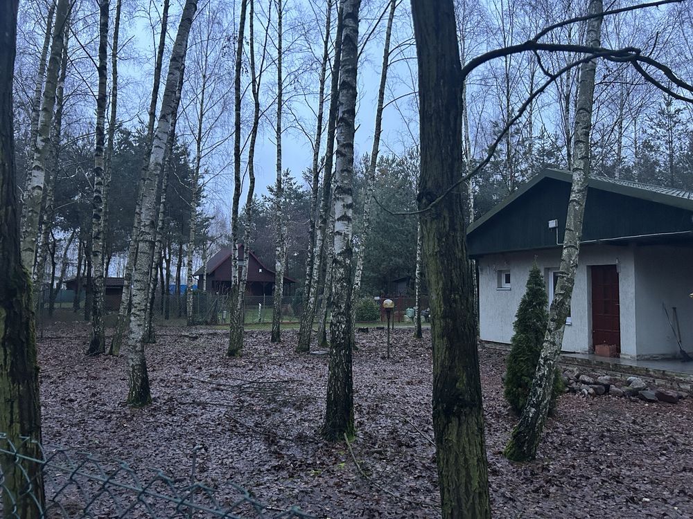 Działka rekreacyjna Mstowo, ul. Borówkowa. Zdjęcie 5