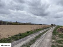 Działka budowlana Gościęcice, ul. Sokola. Zdjęcie 1