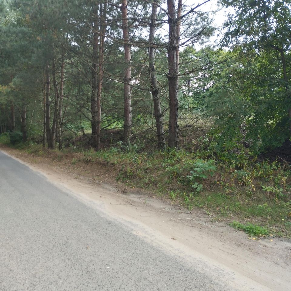 Działka budowlana Gostynin, Gostynin. Zdjęcie 2