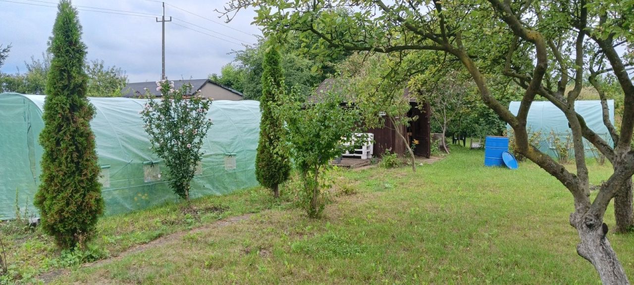 Działka rod Wrocław Ołtaszyn, ul. gen. Stefana Grota-Roweckiego