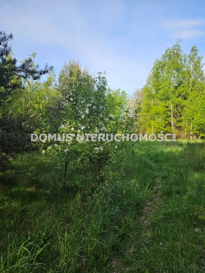 Działka budowlana Przanowice. Zdjęcie 7