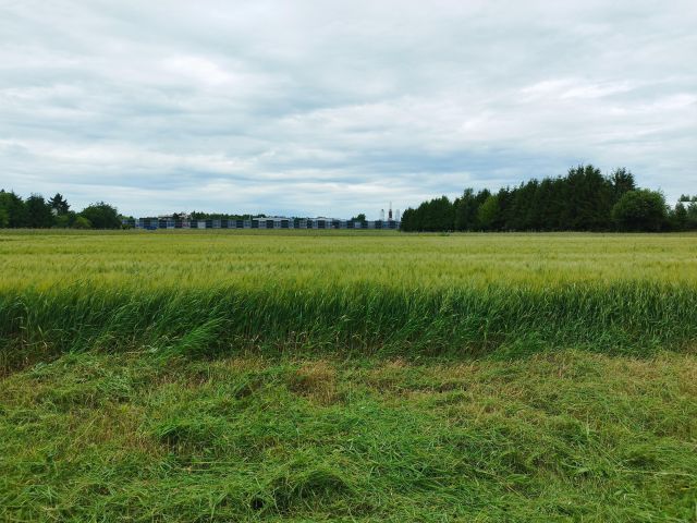 Działka budowlana Kazimierzówka, ul. Lawendowa. Zdjęcie 1