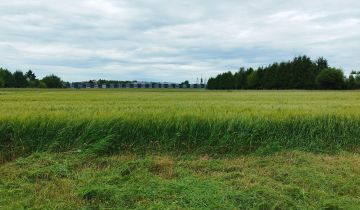 Działka budowlana Kazimierzówka, Lawendowa
