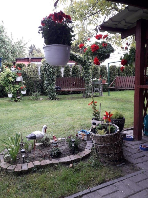 Działka rod Szałe. Zdjęcie 5