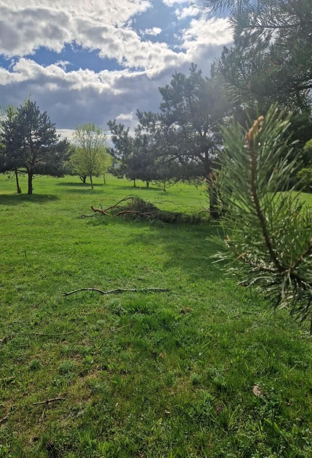 Działka budowlana Nowogród, ul. Śródpolna. Zdjęcie 9