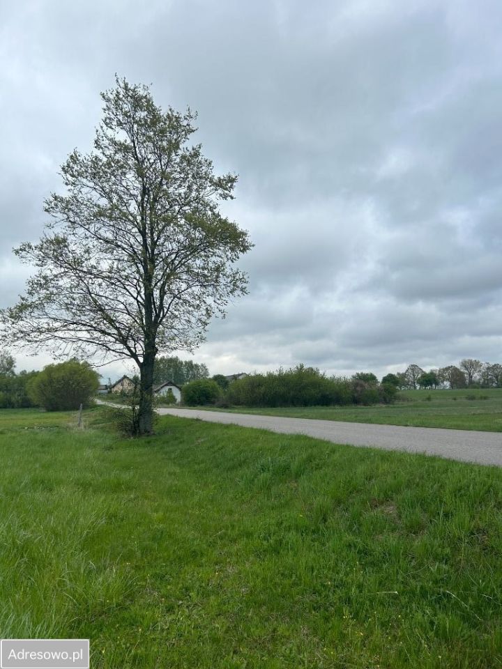 Działka budowlana Dzbanice. Zdjęcie 4