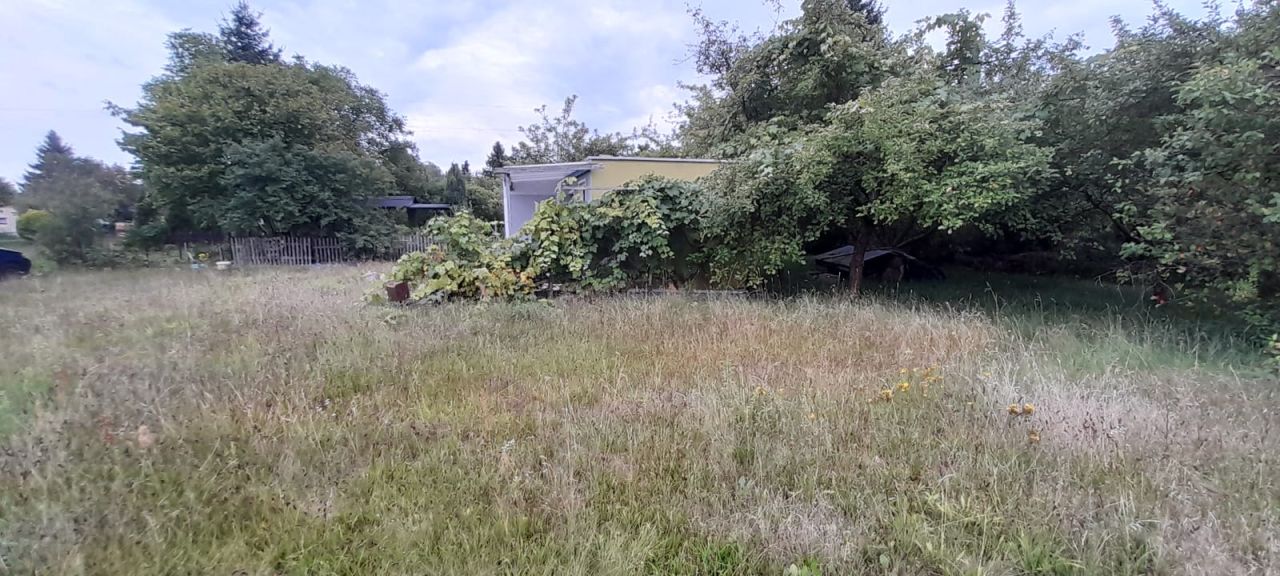 Działka rod Zielona Góra Ochla, ul. Ochla-Kożuchowska. Zdjęcie 16