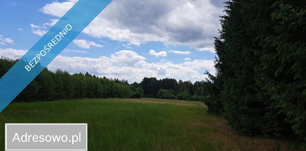 Działka siedliskowa Luta. Zdjęcie 14