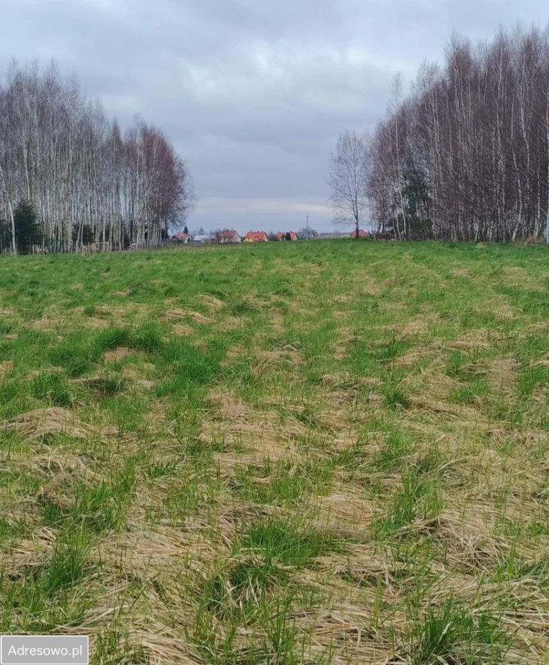 Działka budowlana Sędziszów Małopolski, ul. Księżomost. Zdjęcie 3