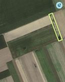 Działka rolna Wierzchuca Nagórna