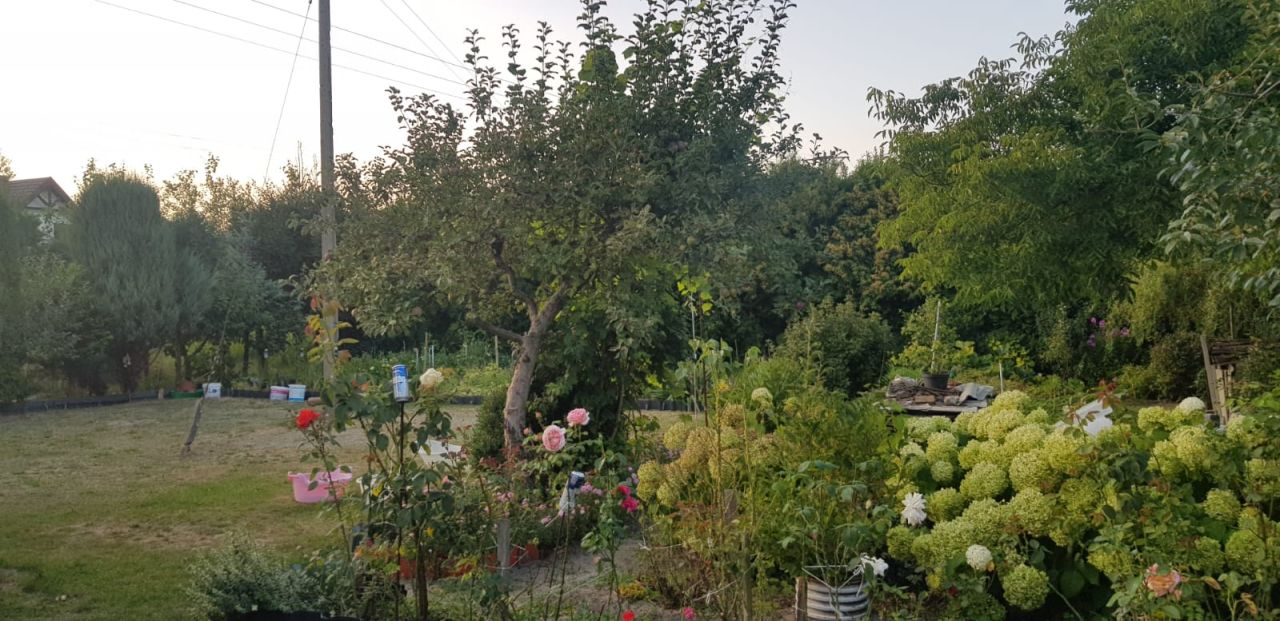 dom wolnostojący, 1 pokój Gostynin Gostynin-Kolonia, ul. 18 Stycznia. Zdjęcie 9