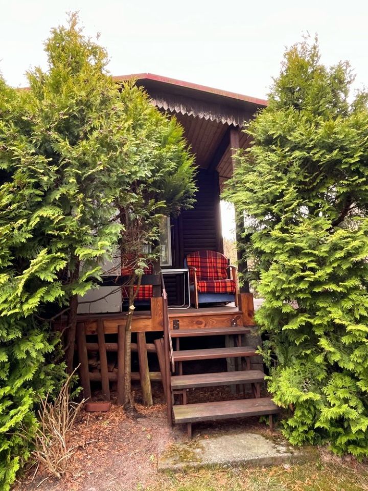 Działka rod Prosperowo. Zdjęcie 5