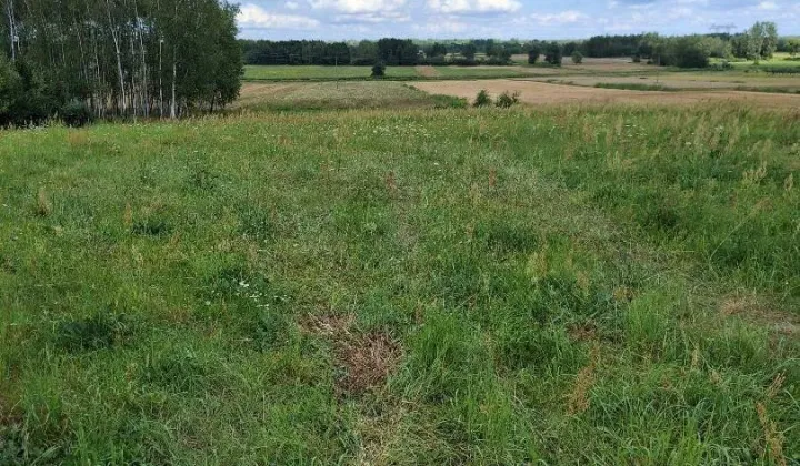 Działka rolno-budowlana Januszkowice