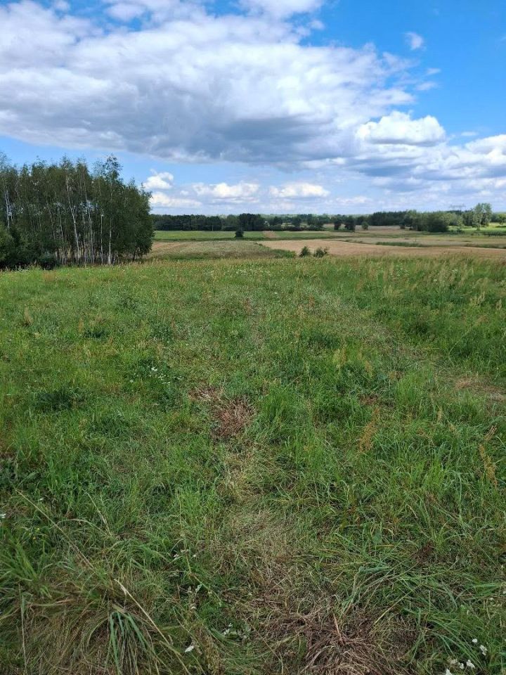 Działka rolno-budowlana Januszkowice. Zdjęcie 1
