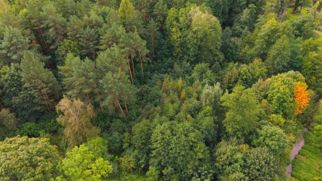 Działka budowlana Radziejowice, ul. Przemysłowa. Zdjęcie 9