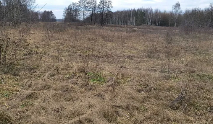 Działka budowlana Przywory Duże