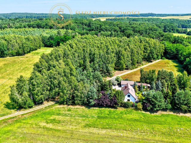 Działka budowlana Proszkowa. Zdjęcie 18