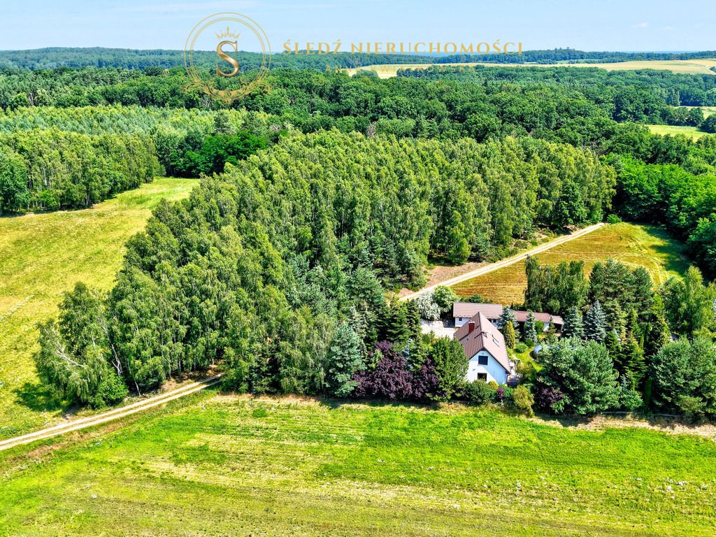 Działka budowlana Proszkowa. Zdjęcie 18