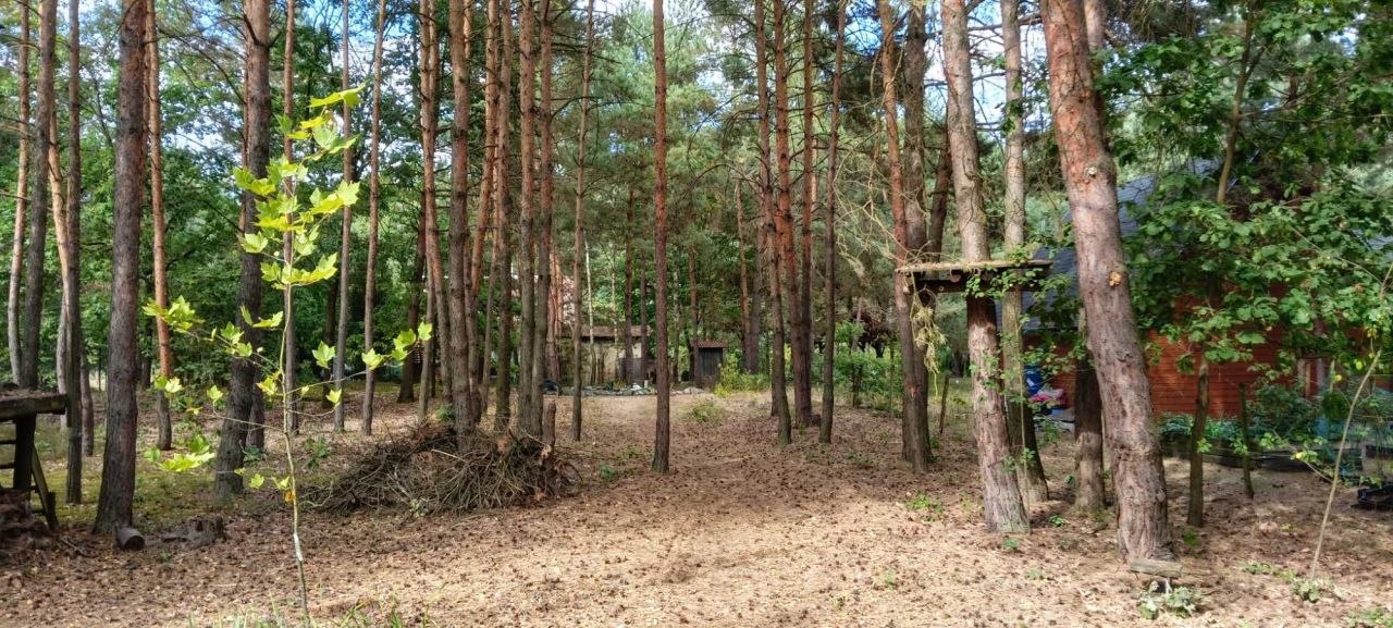 Działka leśna Tyborów. Zdjęcie 4