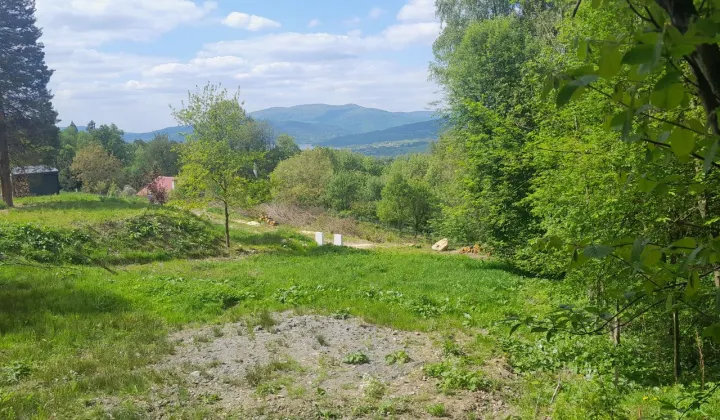 Działka rekreacyjna Rychwałd, ul. Spacerowa