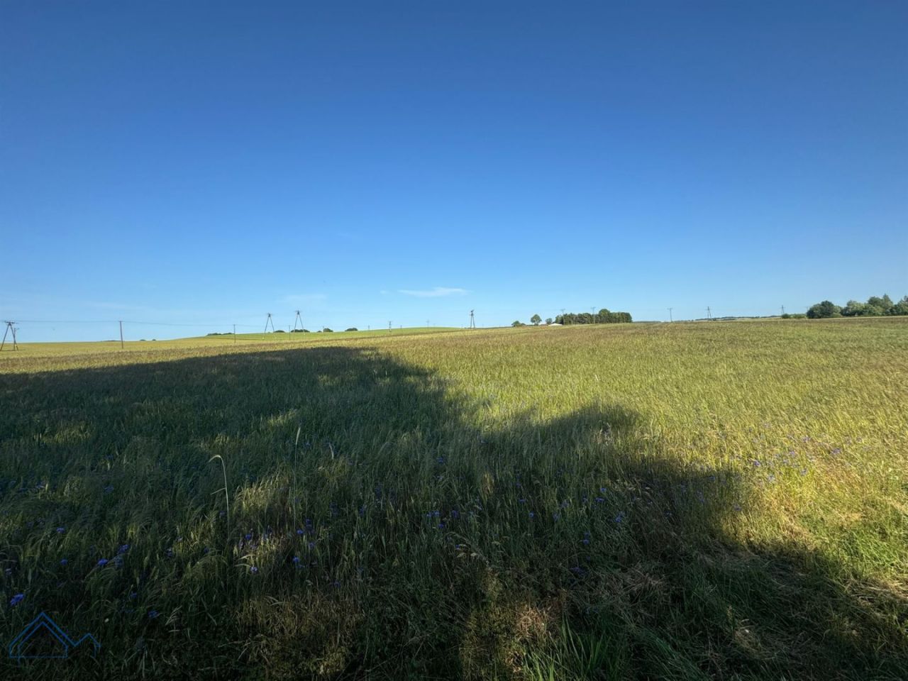 Działka siedliskowa Nowogardek. Zdjęcie 2