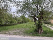 Działka budowlana Krzewina. Zdjęcie 2