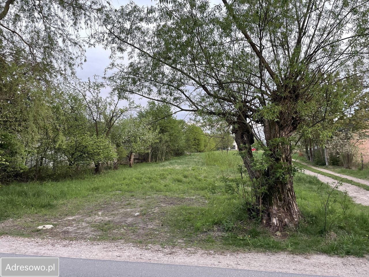 Działka budowlana Krzewina. Zdjęcie 3