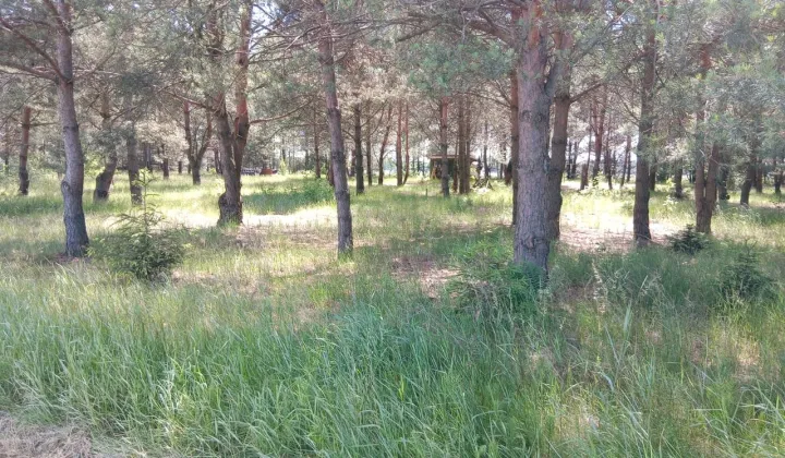 Działka budowlana Dokudów Drugi Zarośle