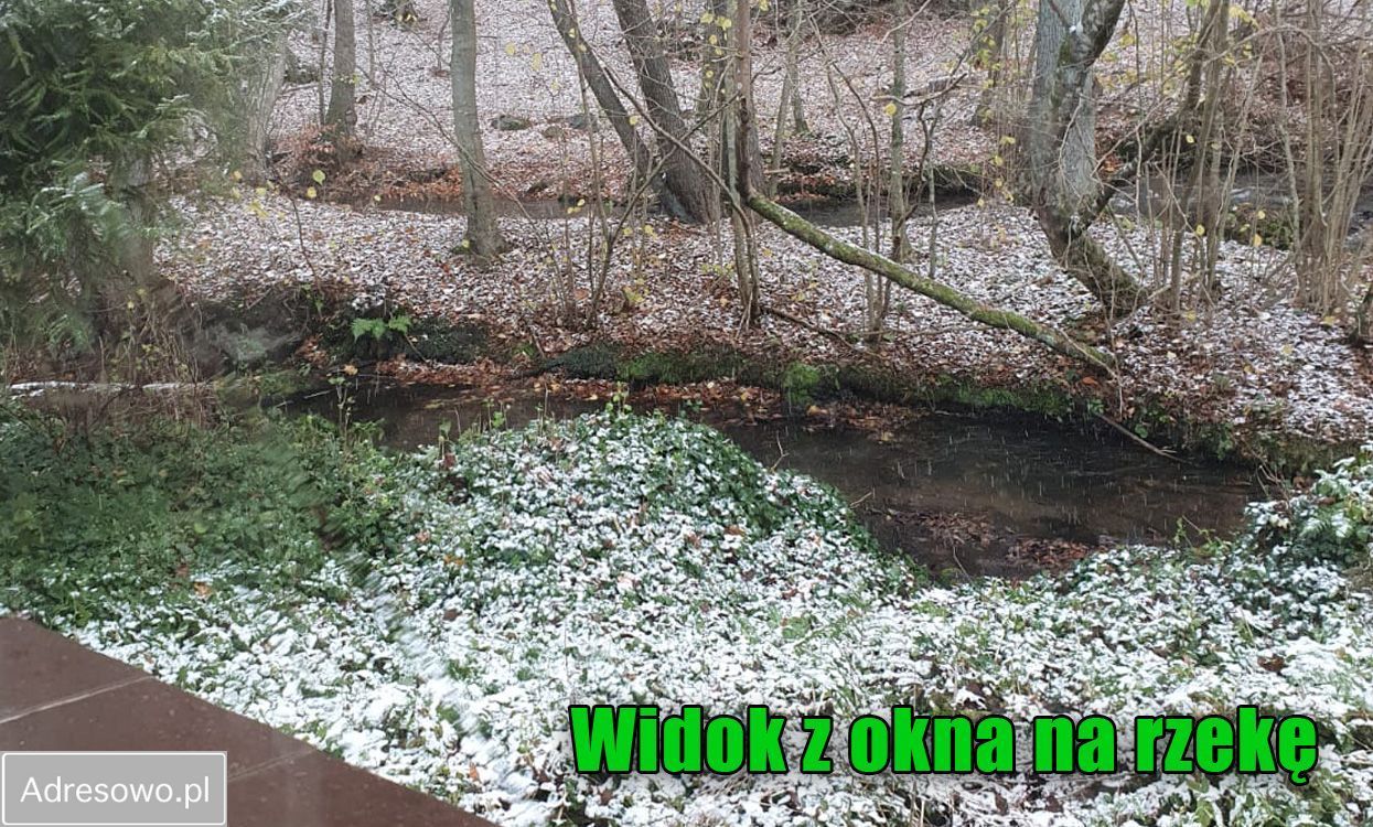 dom wolnostojący, 5 pokoi Bychowo. Zdjęcie 2