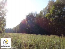 Działka leśna Nowy Prażmów, ul. Leśna. Zdjęcie 3
