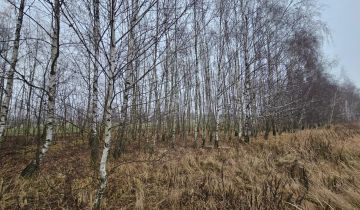 Działka budowlana Teolin, ---